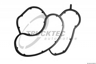 TRUCKTEC AUTOMOTIVE 0810054 -  Прокладка, корпус маслянного фильтра